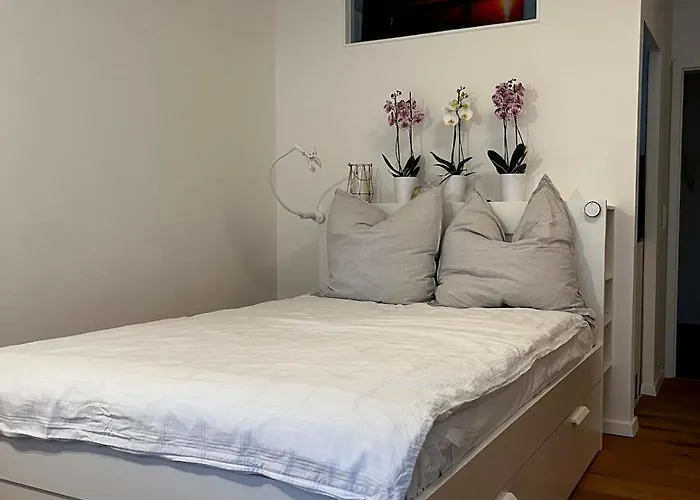 Apartament No-television One Bedroom